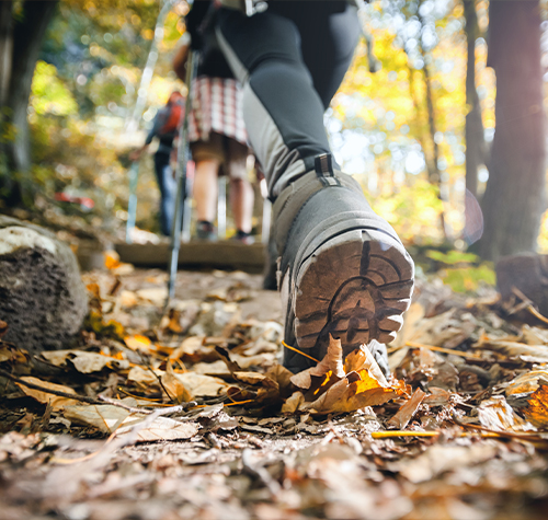 Person stepping on pile of leaves in forest